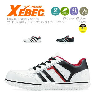 y26h5%OFFN[|11/10zSC W[xbN Z[teB[V[Y 85125 [Jbg Ռz Xj[J[  Xj[J[^Cv XEBEC