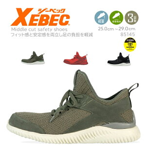 SC W[xbN Z[teB[V[Y vXj[J[ 85145 ~bhJbg Ռz |c ϖ S yʃ\[ RۖhL ʋC  XEBEC