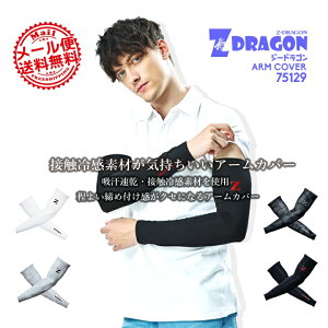 yzA[Jo[ Ci[ X|[c ėp A[K[h rJo[ Xgb` ڐG⊴ z yėpzjp Z-DRAGON 75129 d W[hS