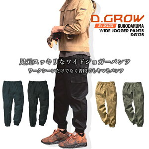 y12/5聚Si5%OFFN[|zyzWK[pc J[Spc Chpc ȃp 100 Rbg DG125 D.GROW N_} C[W[pc EGXgS VGbg L