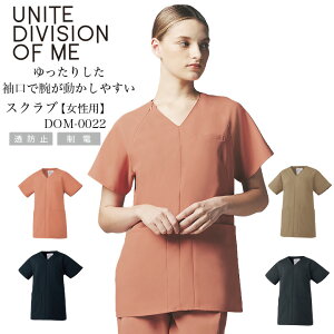 XNu  DOM-0022 p fB[X   Ōt t hN^[ NjbN GXe a@ h~ d  IV UNITE DIVISION OF ME sN ubN ㎿ sN lCr[