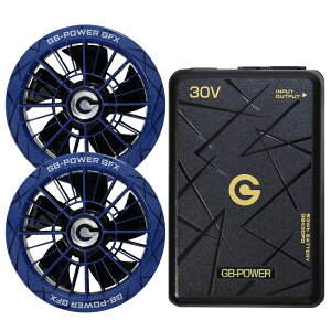 �y���������z���M�W���p�� �󒲕��p�i30V��p �t�@�����o�b�e���[�Z�b�g�jGB-POWER GB430PD GFX�y15�P�������O�ۏ؁z �}���[�d �󒲃E�F�A �t�@���t���E�F�A�Ή� EF�E�F�A ���啗�� �M���Ǒ΍� �t