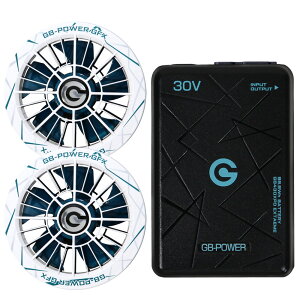 �y���������z���M�W���p�� �󒲕��p�i30V��p �t�@�����o�b�e���[�Z�b�g GB-POWER GB430XPD GFXS ����J���[�t�@�����f�� �y15�P�������O�ۏ؁z �}���[�d �󒲃E�F�A �t�@���t���E�F�A�Ή� EF�E�F