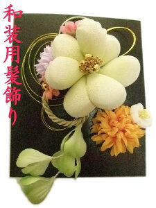  l Ǝ   hX a 2_Zbg Vi ac263