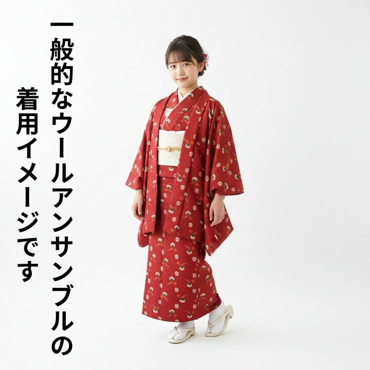楽天市場】【送料無料】ウールの着物・羽織アンサンブル 赤色地本絣 1 