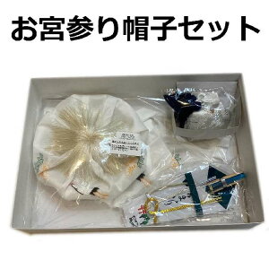{Qj̎qpjXqZbg  Xq O| L  { Vi ws017