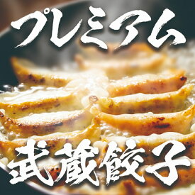 【ちゃーしゅうや武蔵】武蔵ぎょうざ 30粒入 餃子 冷凍餃子 ぎょうざ お取り寄せ グルメ ギフト ご当地グルメ お肉たっぷり 新潟 人気店 肉餃子次郎系ラーメン 肉 だるまやスーパーフード