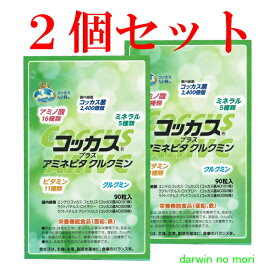 コッカス プラス アミネビタ クルクミン 2個セット（1袋当たり250mg×90粒）1日3粒でコッカス菌2,400億個