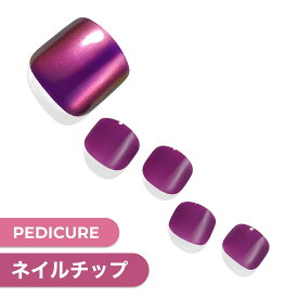 【公式】貼るだけ簡単ネイル 12サイズ 24枚入【Plum Galaxy Mirror】ネイル チップ ジェル シール ネイルシール ネイルチップ ダッシングディバ 時短ネイル 貼るネイル Dashing diva 貼るだけ フットネイル 足ネイル ペディ はがせる つけ爪 秋ネイル