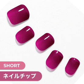 【公式】貼るだけ簡単ネイル ショートネイル 12サイズ 30枚入り【Mauve Plum】ネイル チップ ネイルチップ ジェルネイル ネイルシール ダッシングディバ 母の日ギフト 時短ネイル 付け爪 つけ爪 貼るネイル Dashing はがせる 秋ネイル プレゼント おうちネイル