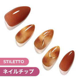 【公式】貼るだけ簡単ネイル 12サイズ 30枚入り【Brown Amber】ネイル チップ ネイルチップ ジェルネイル ネイルシール ダッシングディバ 母の日ギフト 時短ネイル 付け爪 つけ爪 貼るネイル Dashing diva はがせる 秋ネイル プレゼント おうちネイル