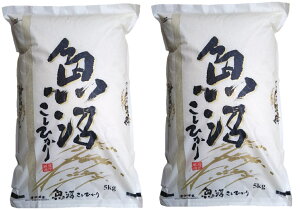 令和7年産 新米 精米 新潟県 魚沼産 コシヒカリ 米 コメ 送料無料 新潟産 こしひかり 贈答 お土産