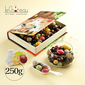 世界各国の厳選素材を使用した絶品 ルシャトー ギフトボックス250g バレンタイン 2026 チョコ チョコレートギフト バレンタインデー スイーツ お取り寄せ 高級 おしゃれ バレンタインチョコ 【特典】本商品ご購入でミニチョコBOX2箱プレゼント