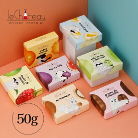 予約必須の入手困難アパレルブランドともコラボ！ルシャトー50g バレンタイン 2026 チョコレートギフト チョコ バレンタインデー バレンタインチョコ 義理チョコ 詰め合わせ 【特典】￥2,000(税込)以上ご購入でミニチョコBOXプレゼント