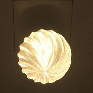 3DfUCd IIng 40W TCY10cm  ߂ ߂ g͗l IWiLEDd dF F d E26 傫 ` ^{[^ {[ 炫 ߂ ̒ 