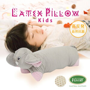 yebNXz h_j hJr R   ebNX ebNX QԂ Ventry qp q   ʋC ϋv GR h[s[ Gt@g?OC ]E