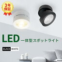 スポットライト LED一体型 高輝度 ブラケットライト ブラック ホワイト 電球色 自然色 昼白色 LED内蔵式 LED 一体式 おしゃれ 北欧 照明 スポット照明 ダイニング キッチン 間接照明 照明器具 インテリア照明 屋内照明（DW-LN400）