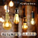 ペンダント ライト LED電球付き【1灯/2灯/3灯/4灯セット】ペンダントライト led おしゃれ ダクトレール用 ペンダント…