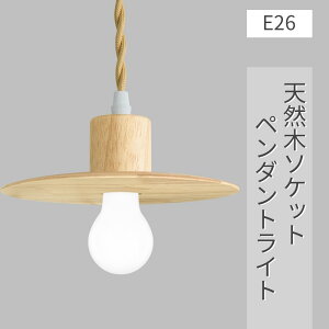 y_gCg LEDdt E26 VR tBgd CeBO[p Ɩ VƖ ݂艺  R[ht i` Vv k g 110cm߉\ Hp Q