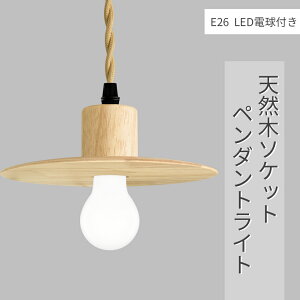 y_gCg LEDdt E26 VR tBgd CeBO[p Ɩ VƖ ݂艺  R[ht i` Vv k g 110cm߉\ Hp Q