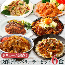 日東ベスト お肉惣菜 バラエティ6種セット 冷凍食品 詰め合わせ ジョイグルメ 牛丼の素DX ハンバーグ 豚丼 上海風塩 焼きそば 牛カルビ 焼肉 しょうが焼 お惣菜セット おかずのみ おかずセット