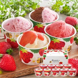 博多あまおうのこだわりアイス 4種 9個 AH-ABR バニラ ショコラ クリームチーズ シャーベット アイス 詰め合わせ ギフト のし対応 産地直送 お取り寄せ 敬老の日 グルメ スイーツ お中元 夏ギフト 残暑見舞い 暑中見舞い 誕生日 記念日 お祝い プレゼント