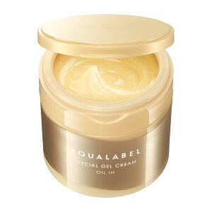  ANA[x XyVWFN[ EX ICC L II N[ CɊYDn[o[Y 108g