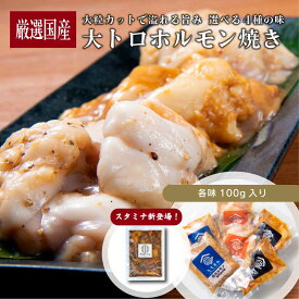 国産牛ホルモン 4種詰合せ×2セット 8パック詰合せ (塩/味噌/醤油/スタミナ) 焼肉用 400g／厳選 モツ マルチョウ 小腸 ホルモン焼き もつ鍋 ホルモン 肉 牛肉 お取り寄せ 焼肉 バーベキュー BBQ 贈り物 食品 グルメ