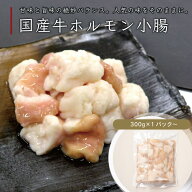 国産牛ホルモン300g〜 焼肉用 もつ鍋用 ／ 伊達のくら モツ マルチョウ 小腸 ホルモン焼き もつ鍋 ホルモ…