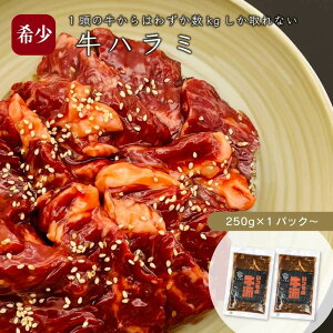 牛ハラミ 焼肉用 味付き 250g〜(250g×1pc〜) /ハラミ サガリ 大容量 肉 牛肉 お取り寄せ 焼肉 バーベキュー BBQ キャンプ 食品 グルメ 焼くだけ 簡単 味付き
