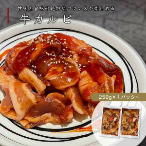 Jr ēp t 250g`(250g×1pc`) ^Jr e    ē o[xL[ BBQ Lv Hi O Ă ȒP t