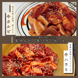 n~Jr lߍ킹Zbg ēp t 500g`(e250g×1pc`) ^n~ TK Jr e    ē o[xL[ BBQ Lv Hi O Ă ȒP t