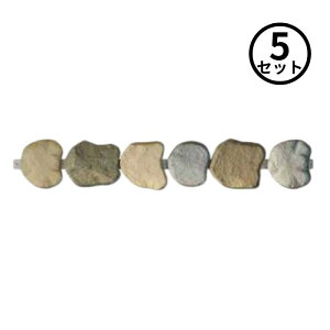 11/11 1:59܂Ń|Cg2{ y@l̂݁zO[tB[h(/I) bNGbW50 6A1Zbg×5Zbg o[Lbvt ؂ A~ o[ [EDG[STCSET]