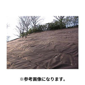 y@l̂݁z򐻖(/I) hV[g Ήj[h}` 2m×50m 1 I A͕p LtG  uE 