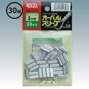 y(|Xg)zA[Y (/BD) 30 A[ I[oX[u 2~@A~  p 2mm [OS-2.0] ^ OS-1B