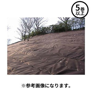 12/1 23:59܂Ń|Cg2{ y@l̂݁z򐻖(/I) hV[g Ήj[h}` 2m×50m 5ȏ㒍p I A͕p LtG  uE 