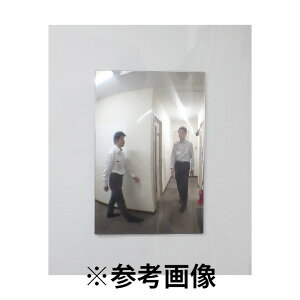 Komy R~[ (/AO) FF~[ ʘH W230×H330 Бp }Olbg S~[ ~[ Փ˖h~  [FT23AM]