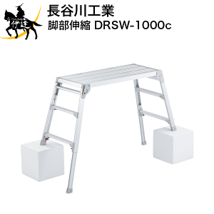 10/27 9:59܂Ń|Cg2{ϕiy@l̂݁zJH(/A) VL [DRSW-1000c]