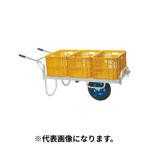 11/11 1:59܂Ń|Cg2{ y@l̂݁zJH (/AO) |p ^  R Reiڐ 3 ReiJ[ ^1֎ nZK J hasegawa [CN-60DN (33465)]