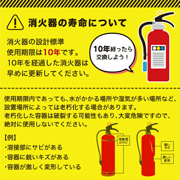 楽天市場】4/10 1:59までポイント2倍 【2025年製】【送料無料5本 