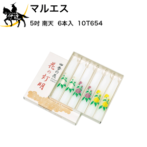 11/11 1:59܂Ń|Cg2{ }GX 낤 Ԃ̓ 5D V (6{) [10T654] (/H)