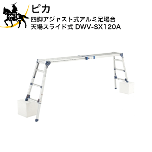 12/11 1:59܂Ń|Cg2{ y@l̂݁z sJ(/D) lrAWXgA~ ̂VXCh^Cv [DWV-SX120A]