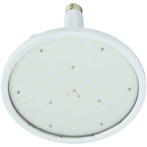 12/11 1:59܂Ń|Cg2{ H (/A) nCXybNnCfBXN 100W ^Cv ݗp  LEDƖ ^ AC100/200Vp ⓔ400WNX [L100B-E39-H110-50K]