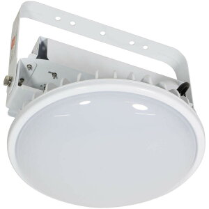 12/11 1:59܂Ń|Cg2{ H (/A) nCfBXN 300W ݉^ EOp^ AC100V 200Vp ݗp LED Ɩ ⓔ1000WNX̖邳 [L300V2-P-HMW-50K]