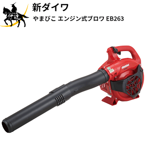 V_C(/A) ܂т GWu [EB263]