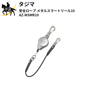 ^W}(/D) S[v ^X}[g[10 [AZ-MSMR10]