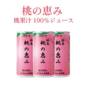 桃ジュース「桃の恵み」30本入り　JAふくしま未来　100％ももジュース　（）