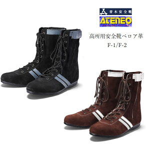 ؎Y ATENEOAelI SC pZ[teB {vJISxA ubN uE ZF1 F2