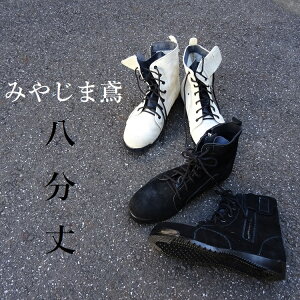 ≮ʒJ[ mTbNX ݂₶ܓΔ SC pZ[teB {vJISxAv N4500nF N4510