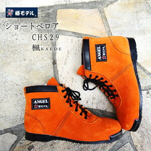 փf G[ANGEL SC Z[teBV[Y CHS29IWpZ[teBu[cV[gIWCHS29 {vJISxAv